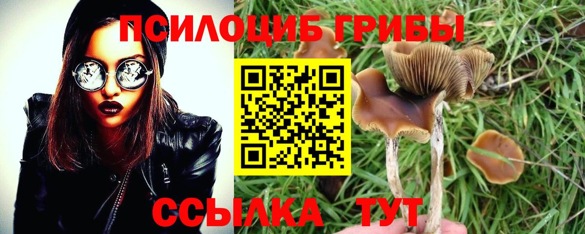 Галлюциногенные грибы мухоморы Шелехов